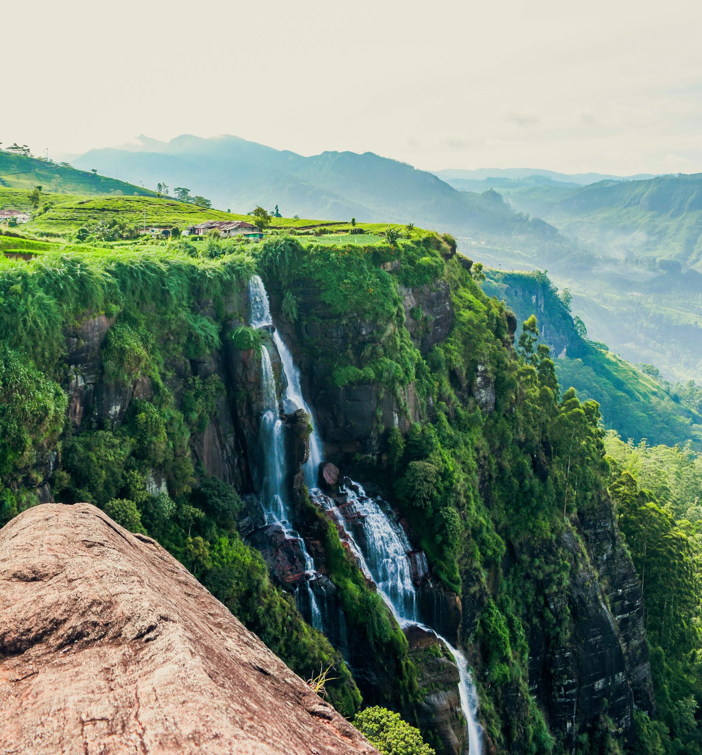 A waterfall falling into a pool surrounded by dense tropical forest