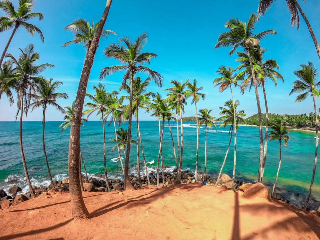A quiet palm-shaded bay on Sri Lanka's southern coast