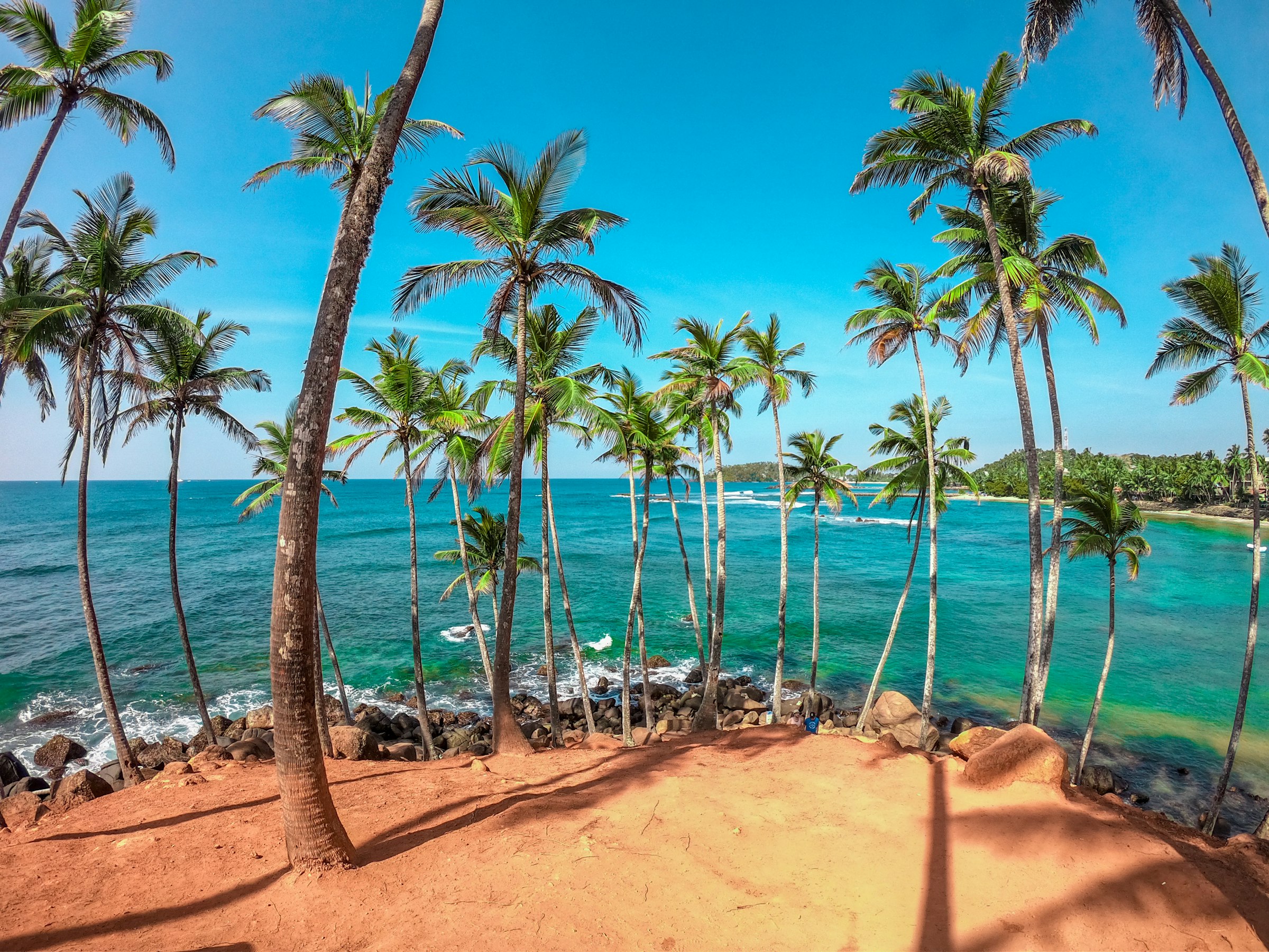 Coconut palms leaning over calm turquoise water near Bentota