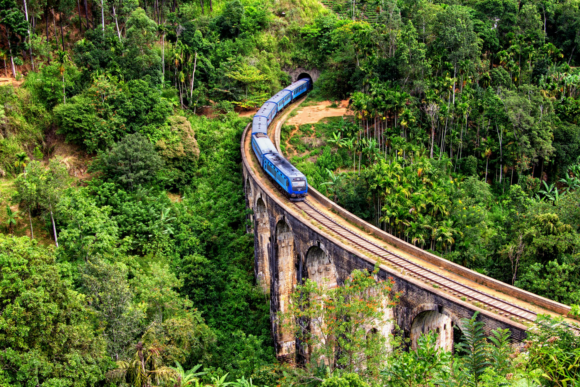 Train crossing the Nine Arch Bridge through dense jungle near Ella