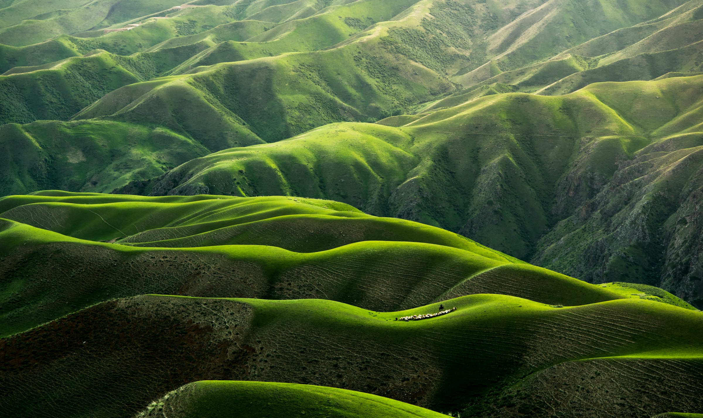 Green hills and tea gardens rolling into mist in central Sri Lanka